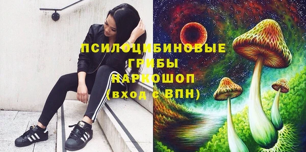 гашик Абаза