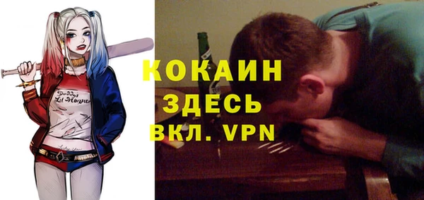 ешки Алексин