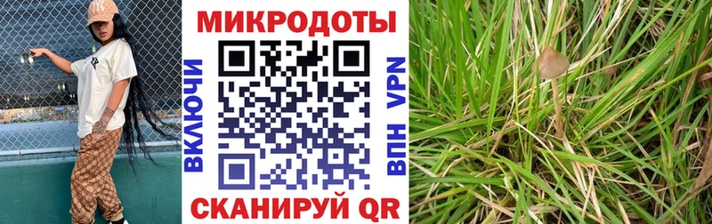 Псилоцибиновые грибы Psilocybine cubensis  KRAKEN зеркало  Раменское 